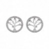 BOUCLES D'OREILLES ARGENT