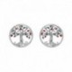 BOUCLES D'OREILLES ARGENT