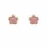 BOUCLES D'OREILLES OR 375/1000