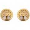 BOUCLES D'OREILLES OR 375/1000