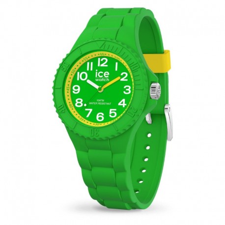 MONTRE ICE WATCH