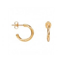 BOUCLES D'OREILLES PLAQUE OR
