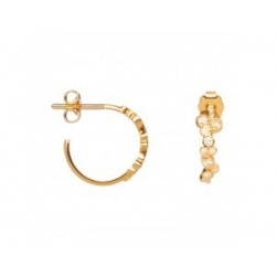 BOUCLES D'OREILLES PLAQUE OR