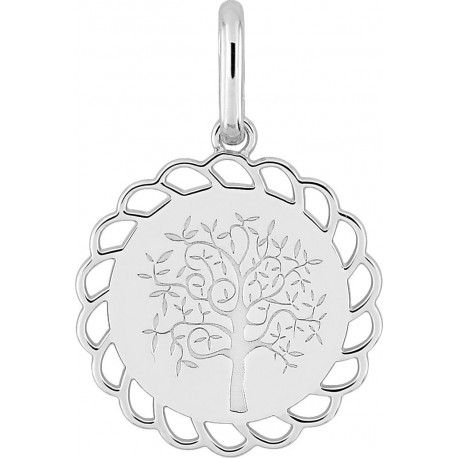 MEDAILLE ARGENT