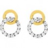 BOUCLES D'OREILLES PLAQUE OR