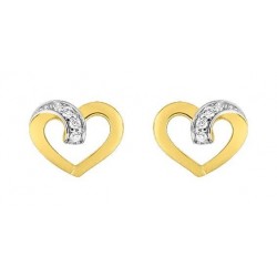 BOUCLES D'OREILLES PLAQUE OR