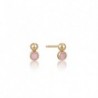 BOUCLES D'OREILLES ANIA HAIE