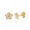 BOUCLES D'OREILLES OR 375/1000