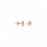 BOUCLES D'OREILLES PLAQUE OR