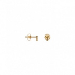 BOUCLES D'OREILLES PLAQUE OR
