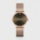 MONTRE CLUSE