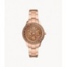 MONTRE FOSSIL