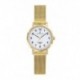 MONTRE CERTUS