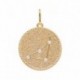 PENDENTIF PLAQUE OR