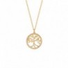 COLLIER PLAQUE OR