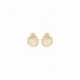 BOUCLES D'OREILLES PLAQUE OR
