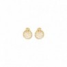 BOUCLES D'OREILLES PLAQUE OR