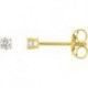 BOUCLES D'OREILLES PLAQUE OR