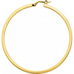 BOUCLES D'OREILLES PLAQUE OR
