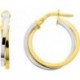 BOUCLES D'OREILLES PLAQUE OR