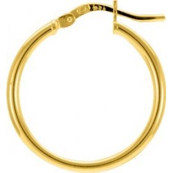 BOUCLES D'OREILLES PLAQUE OR