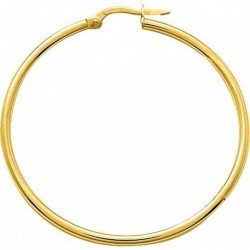BOUCLES D'OREILLES PLAQUE OR