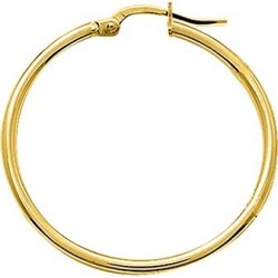 BOUCLES D'OREILLES PLAQUE OR