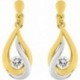 BOUCLES D'OREILLES PLAQUE OR