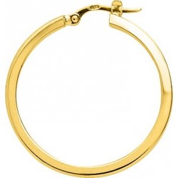 BOUCLES D'OREILLES PLAQUE OR