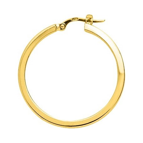 BOUCLES D'OREILLES PLAQUE OR