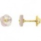 BOUCLES D'OREILLES OR 375/1000