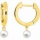 BOUCLES D'OREILLES PLAQUE OR