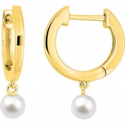 BOUCLES D'OREILLES PLAQUE OR