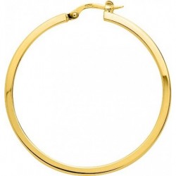 BOUCLES D'OREILLES PLAQUE OR