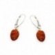 BOUCLES D'OREILLES OPALOOK