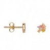 BOUCLES D'OREILLES PLAQUE OR