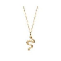 COLLIER PLAQUE OR