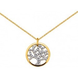 COLLIER PLAQUE OR