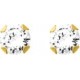 BOUCLES D'OREILLES PLAQUE OR