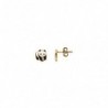 BOUCLES D'OREILLES PLAQUE OR