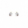 BOUCLES D'OREILLES ARGENT