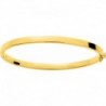 BRACELET PLAQUE OR