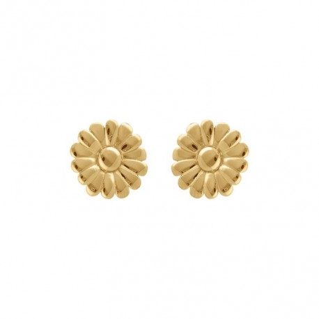 BOUCLES D'OREILLES ACIER