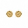 BOUCLES D'OREILLES ACIER