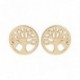 BOUCLES D'OREILLES PLAQUE OR