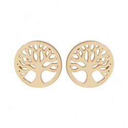 BOUCLES D'OREILLES PLAQUE OR