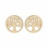 BOUCLES D'OREILLES PLAQUE OR