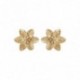 BOUCLES D'OREILLES ARGENT