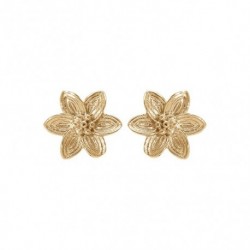 BOUCLES D'OREILLES ARGENT