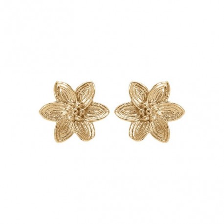 BOUCLES D'OREILLES ARGENT